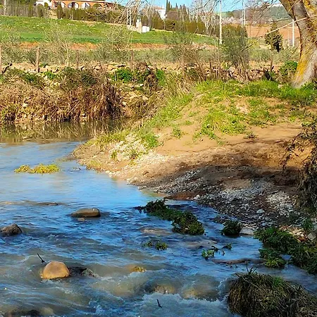 別荘 Cortijo Arcos マラガ